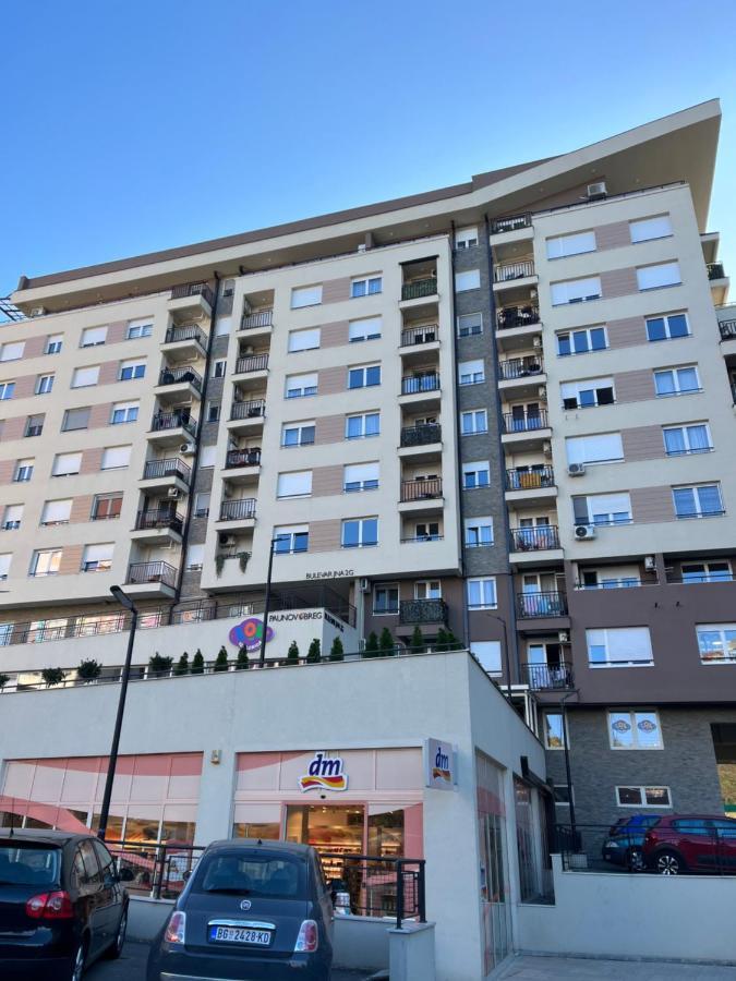 Apartamento Paunov Breg Belgrado Exterior foto